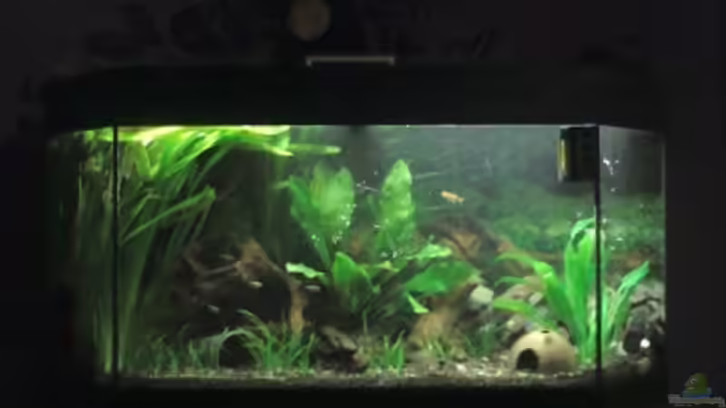 15.04.2013 von ~Danny~ (3)