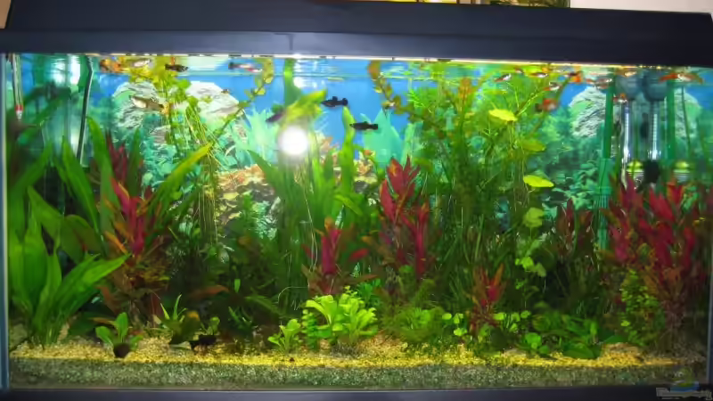 15.05.08 von andi.B (7)