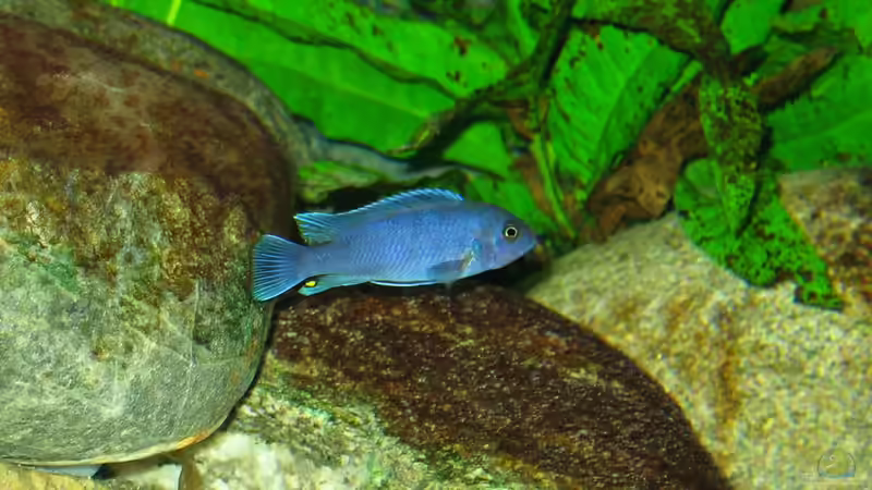 15.05.10 von LaEy (81)