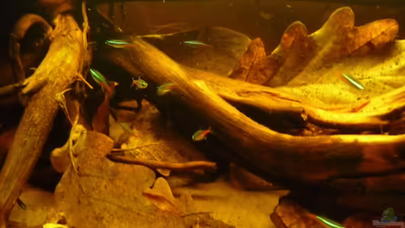 15.05.11 von dave88 (12)