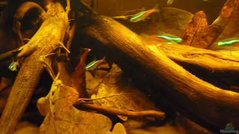 15.05.11 von dave88 (13)