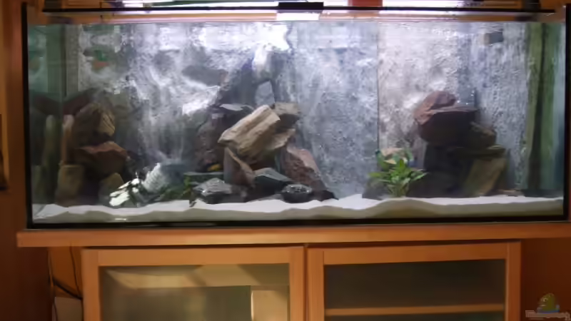 15.05.2008 von Christian Z. (2)