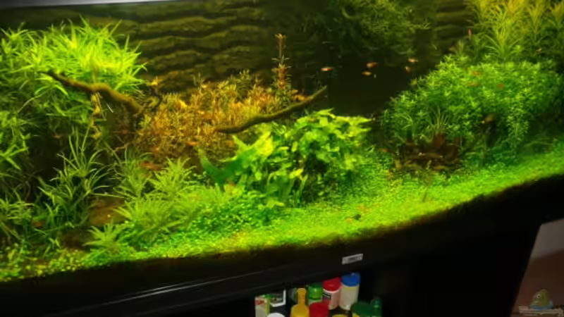 15.05.2009 von Dani B (12)