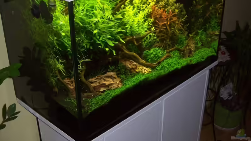 15.05.2010 von Gunnar Otte (13)