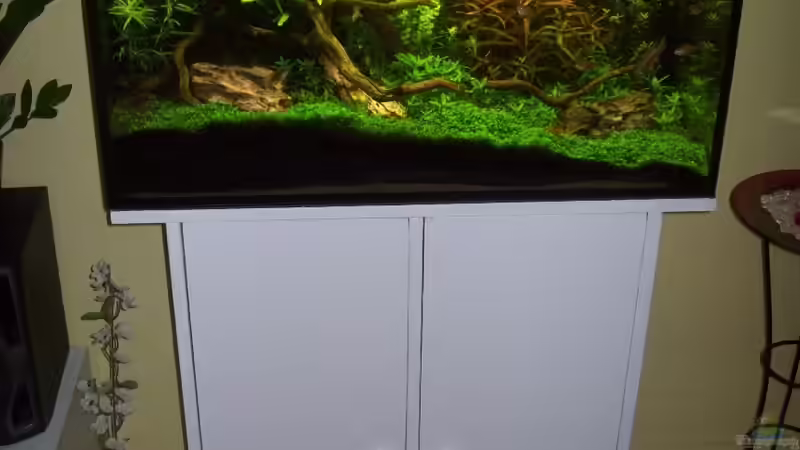 15.05.2010 von Gunnar Otte (15)