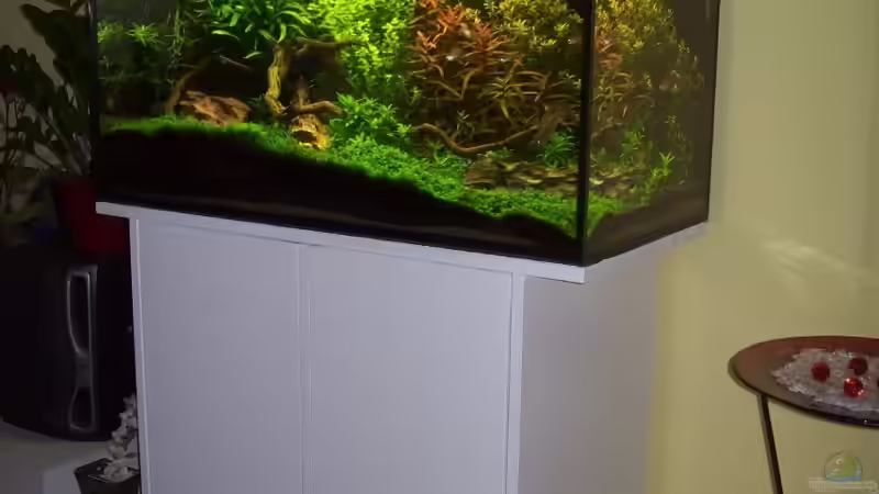 15.05.2010 von Gunnar Otte (16)