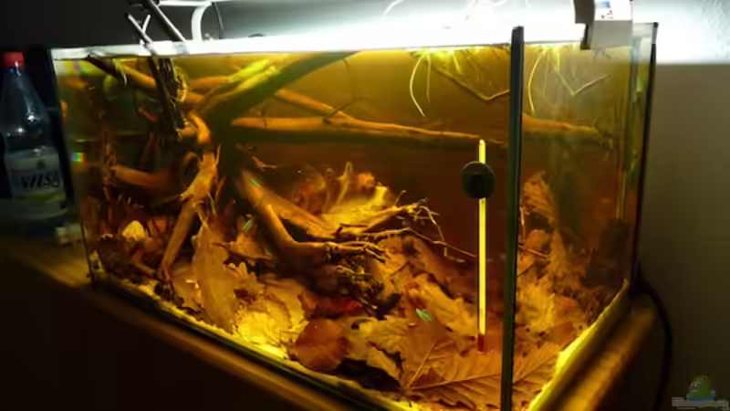 15.05.2011 von dave88 (3)