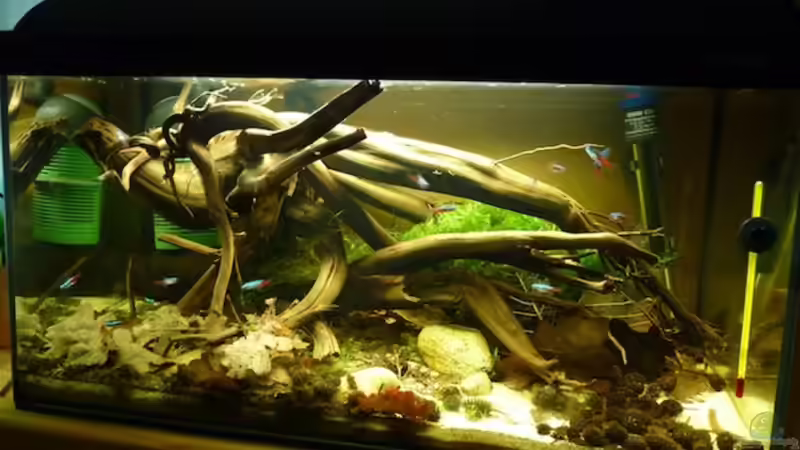 15.05.2011 von dave88 (7)