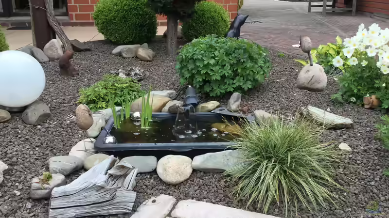 15.05.2019 gedrosselte Filterauslauffontäne von herkla (4)