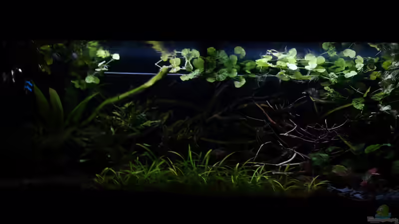 15.05 von Atacama (15)