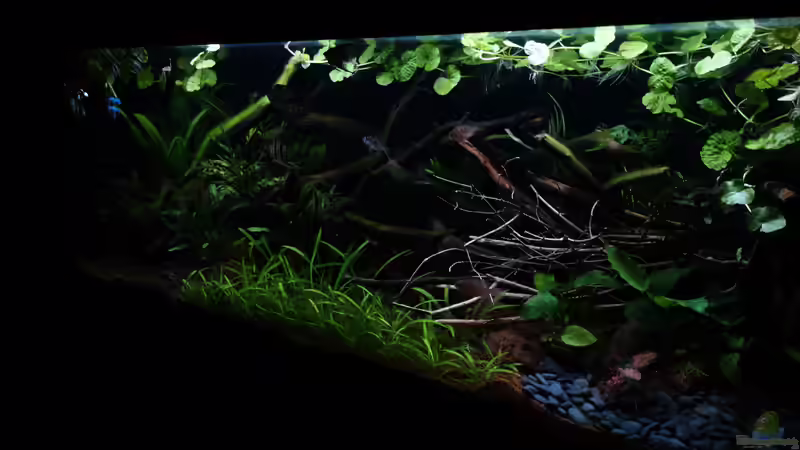 15.05 von Atacama (16)