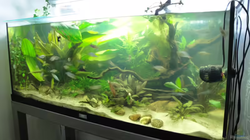 15.06.2010 von Laura (14)