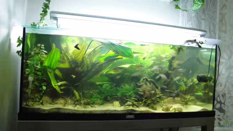 15.06.2010 von Laura (15)