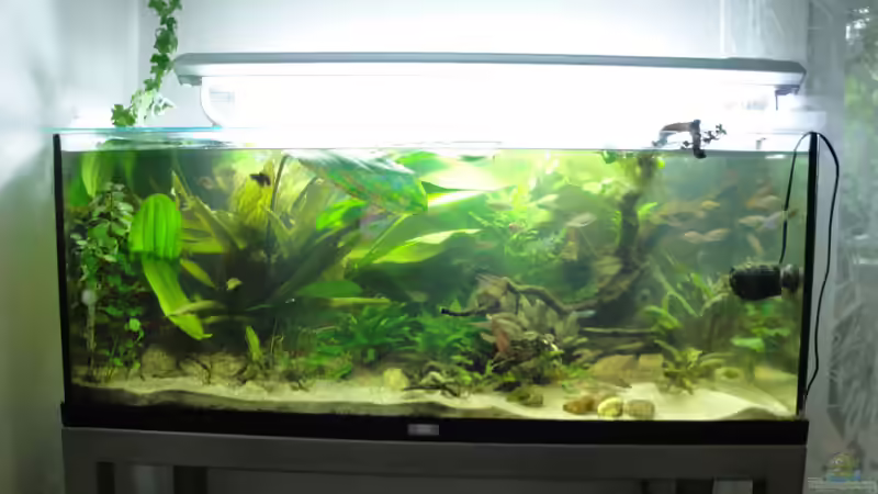 15.06.2010 von Laura (16)