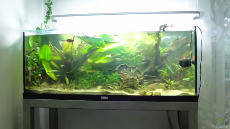 15.06.2010 von Laura (17)