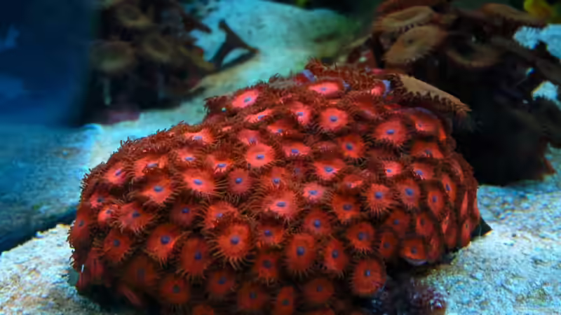 15.06.2011 von Dirk Schäfer (13)