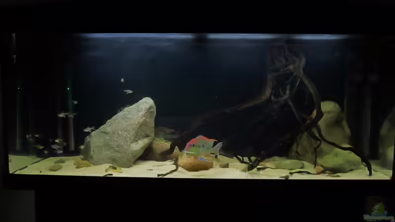 15.07.15 von Strohhut. (15)