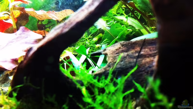 15.08.11 von Sebastian Philipp (27)