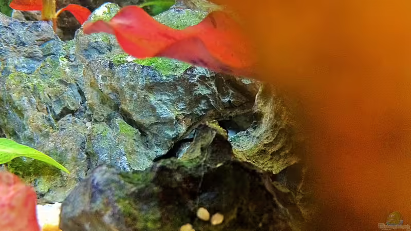 15-08-11 von Sebastian Philipp (28)