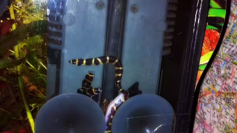 15-08-11 von Sebastian Philipp (38)