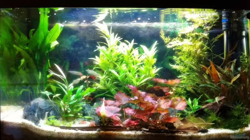 15.08.11 von Sebastian Philipp (5)