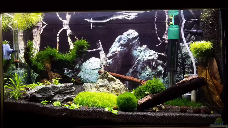 15.08.2014 von Lucky3310 (6)