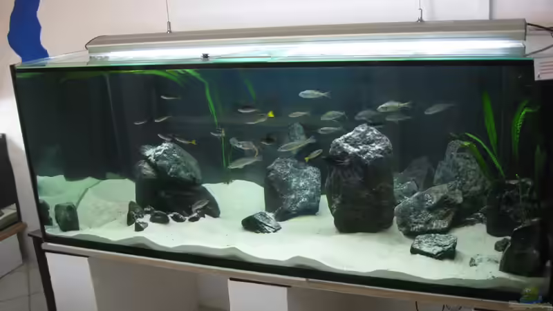 15.10.10 von Andi*Sehlde (20)