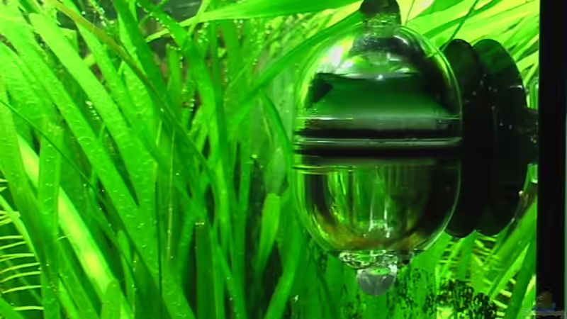 15.10.2010 Dennerleei von *Lucie* (38)