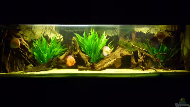 15.10.2011 von carkl (9)