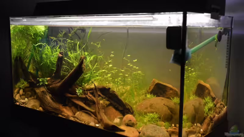 15.10.2016 von Dominik (6)