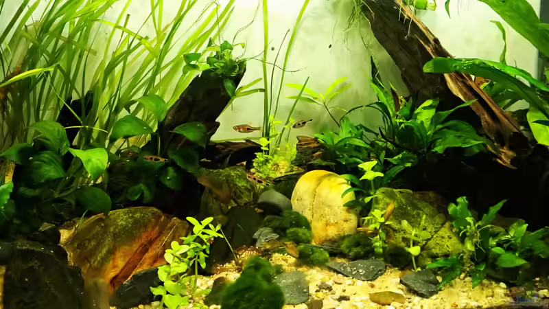 15.10.20223 von okefenokee (51)