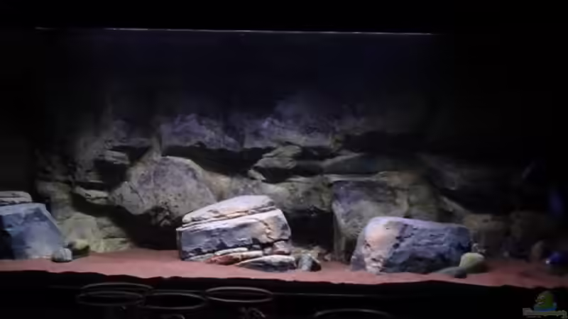 15.11.11 von TheToxicAvenger (15)