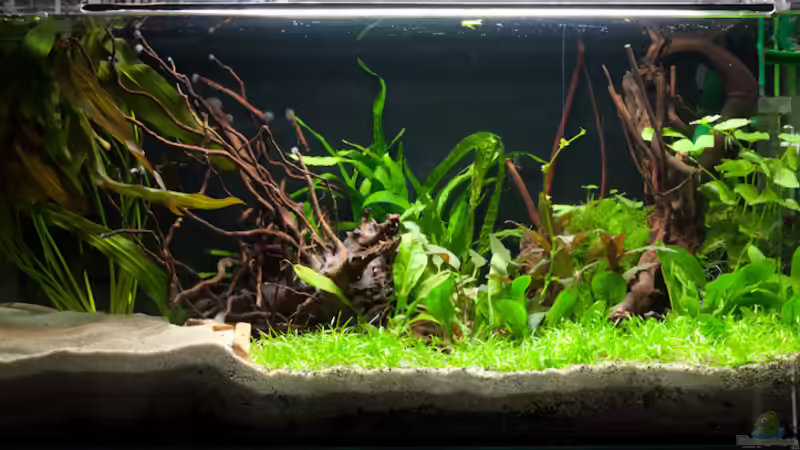 15.11.2009 von 77Markus (4)