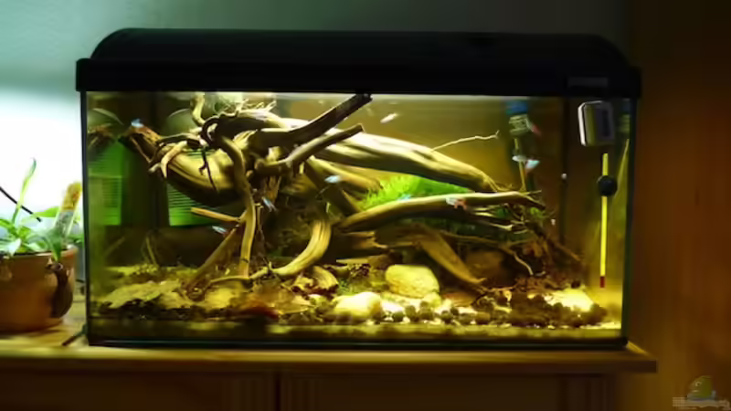 15.11.2011 von dave88 (8)