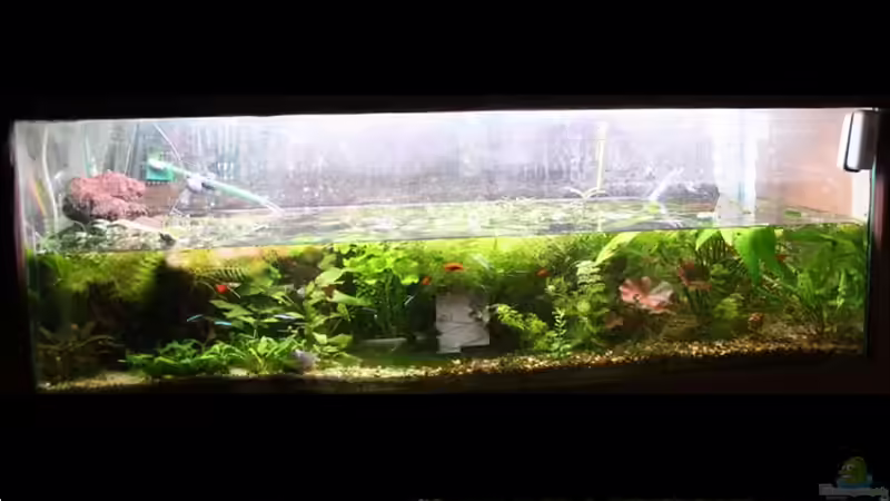 15.11.2016. Hilfe Leck an Klebestelle (nach 34 Jahren) Büro überflutet von brimar67 (15)