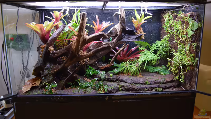 15.11.2019 von Junglist (11)