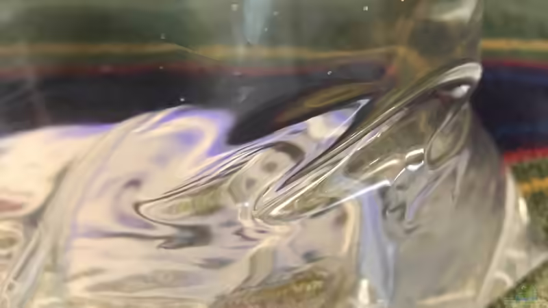 15.11.24 Pseudocrenilabrus multicolor von herkla (32)