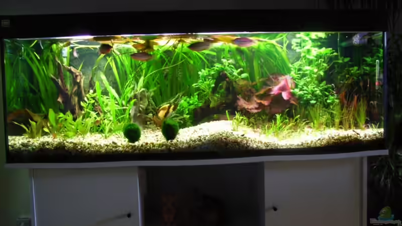 15.12.07 von Oliver Czaika (2)