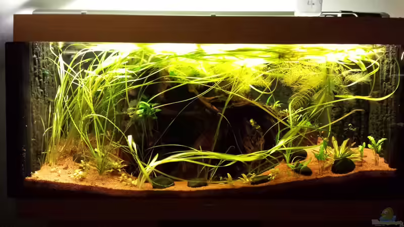 15.12.15 von NRW (3)