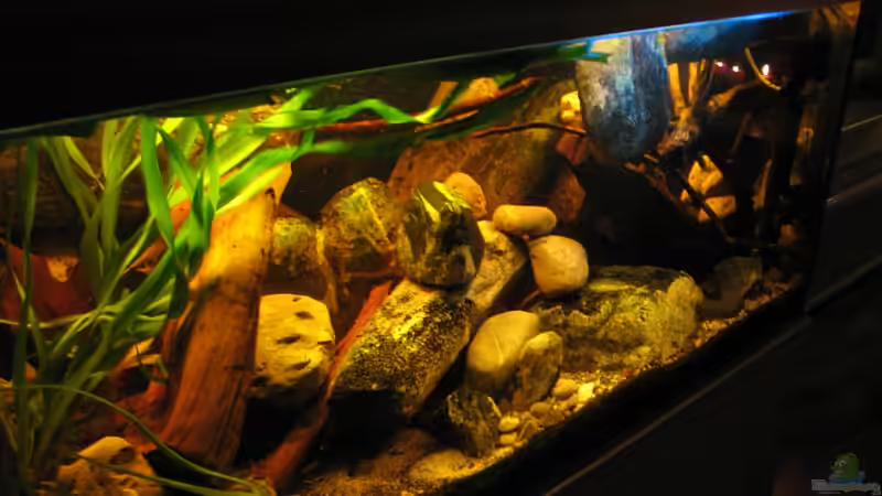 15.12.2013 schräg von links oben nach rechts unten von der Theoretiker (42)