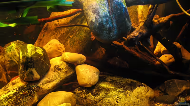 15.12.2013 von der Theoretiker (30)