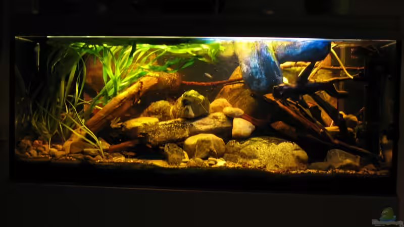 15.12.2013 von der Theoretiker (32)