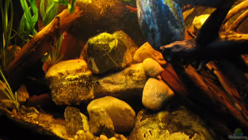 15.12.2013 von der Theoretiker (35)