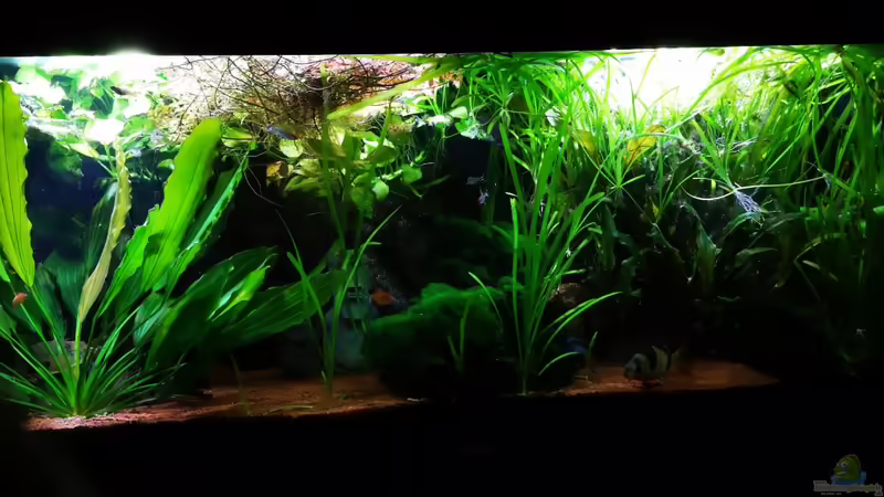 15.12.2022 von Mark H. (8)