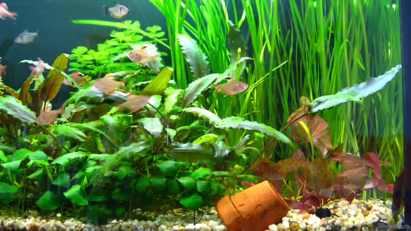 15.2.2013 von NicoleZH (5)