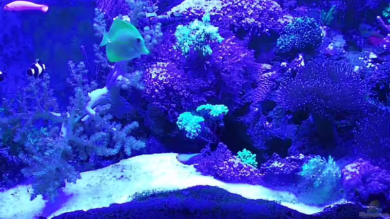 15.3.08 von Eva Göschl (9)