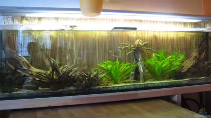 15.4.2012 von Andrea (2)