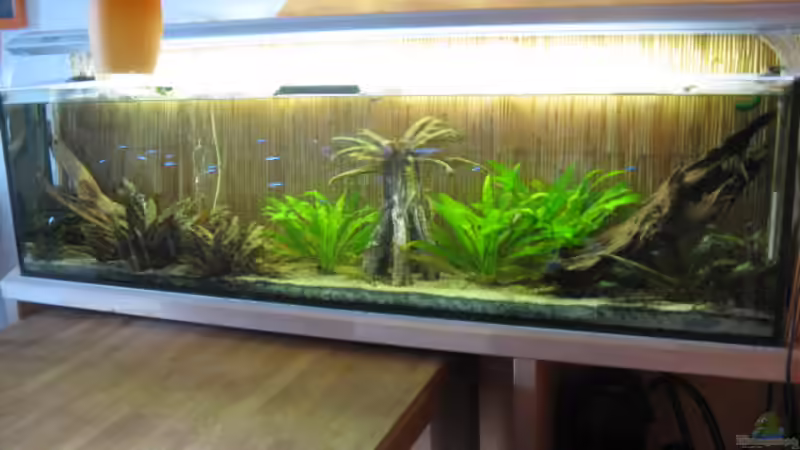 15.4.2012 von Andrea (3)