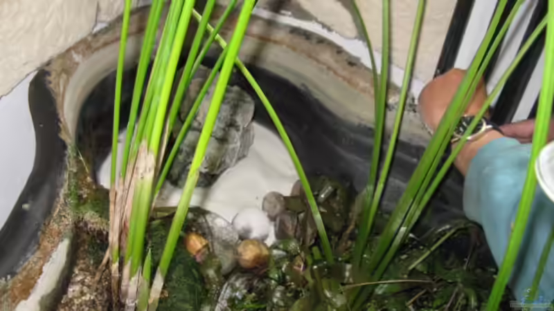 15.5.2010 Habe eine kleine Sandzone eingerichtet. von Andrea (5)