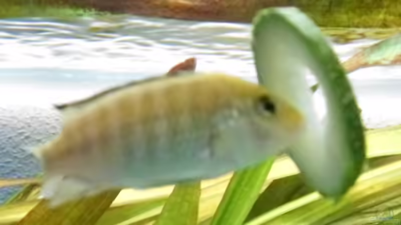 15.5.2010 von Mats (79)